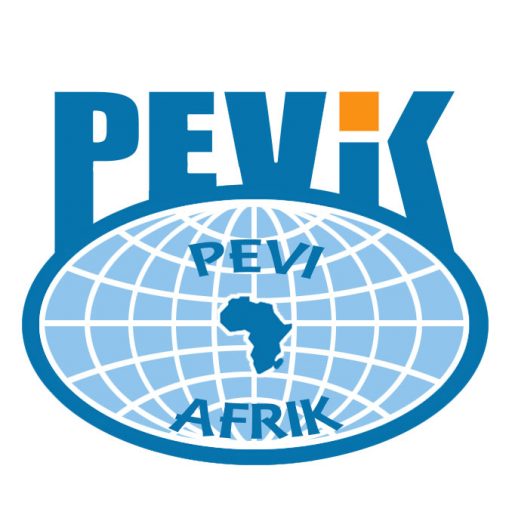 PEVIK CONSULTING